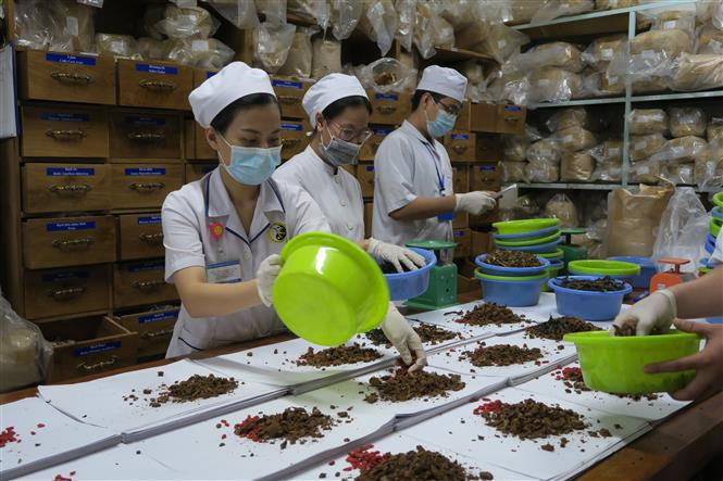 한국 – 베트남 전통의학 연구협력