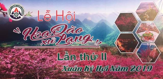 2019년 제2회 Lang Son시 복숭아꽃 축제