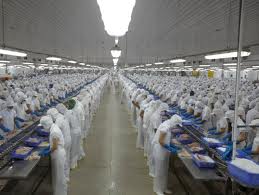 Sector acuícola de Vietnam impulsa exportaciones en 2012