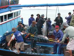Animado ambiente laboral en Vietnam tras días festivos del Tet