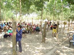 Vietnam impulsa enseñanza de oficios agrícolas a campesinos