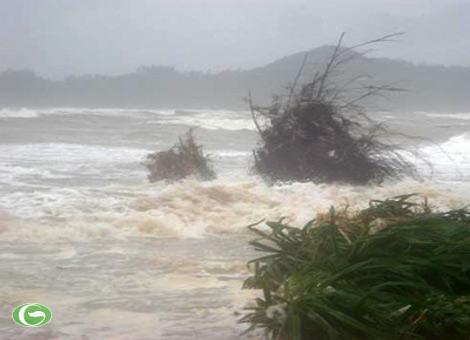 Premier vietnamita ratifica proyecto de gestión de riesgo de desastres naturales