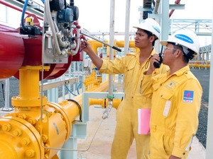 Acelerado ritmo de trabajo en la provincia sureña de Ca Mau