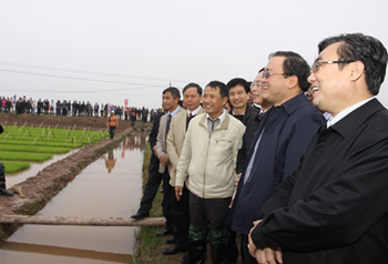 Vicepremier vietnamita examina producción en Nam Dinh