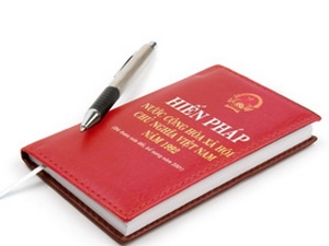 Dong Nai aporta opiniones sobre Proyecto de enmienda constitucional