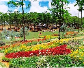 Da Lat, ciudad de hermosas flores