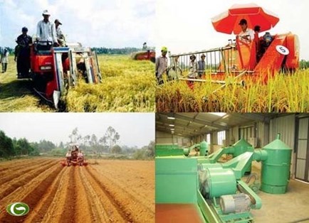 Vietnam impulsa reestructuración de inversiones para el desarrollo agrícola