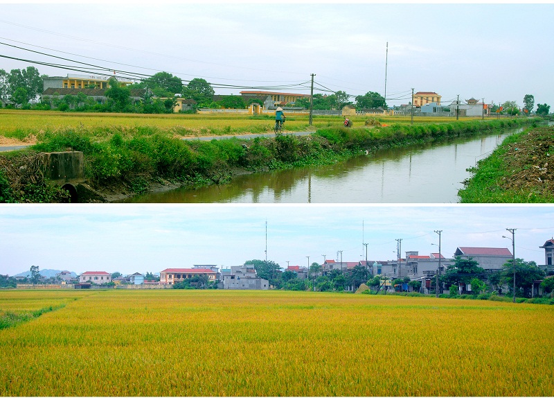Comarca de Son Duong logra consenso en fomento campestre