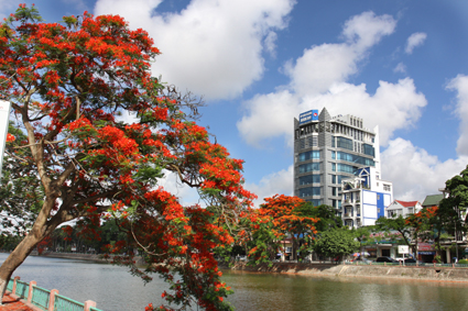 Hai Phong, ciudad del flamboyán
