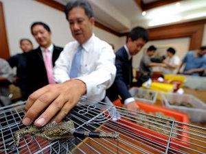 ASEAN promueve el establecimiento de un entorno aduanero común