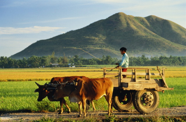 Cambios y mejoras en las tierras étnicas de Binh Phuoc