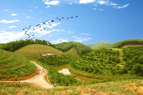 Bac Son supera dificultades para transformar campo