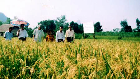 Provincia centro vietnamita de Quang Binh da valores a programa de nuevo campo