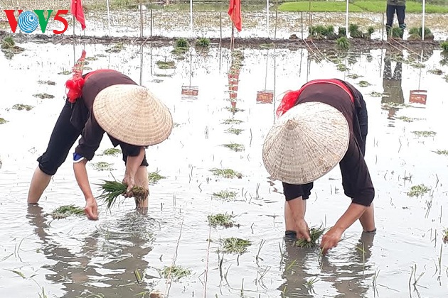 Singularidad en la ceremonia de “Xuong Dong” de Quang Yen