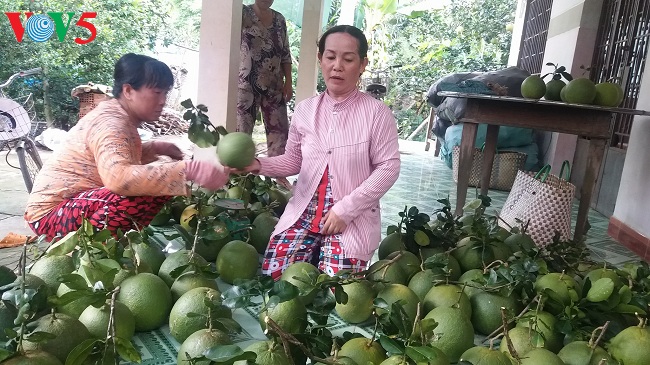 Cambios significativos en Ben Tre al implementar el programa de la nueva ruralidad