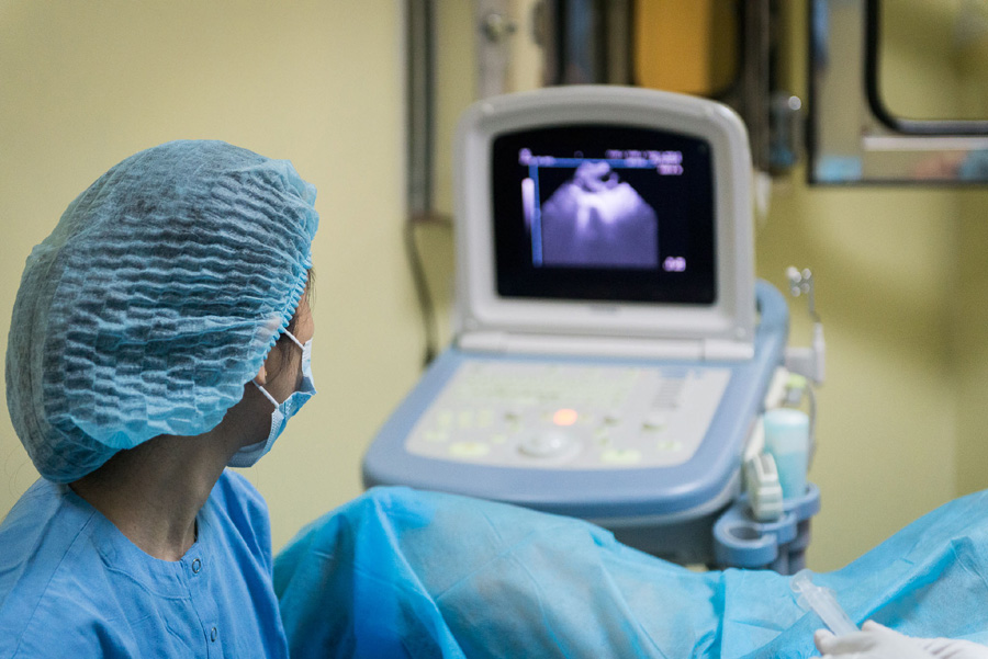 Resalta revista de Estados Unidos estudio de médicos vietnamitas sobre fertilización in vitro