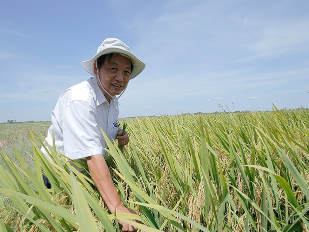 Tran Duy Quy, un científico talentoso del sector agrícola de Vietnam