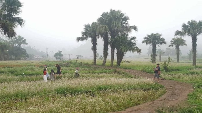 Aldea de Ten, un destino turístico de los Mong en Thai Nguyen