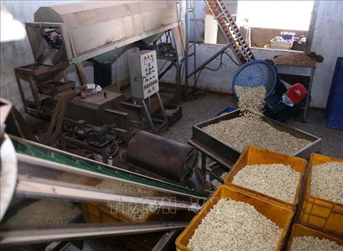 Vietnam invierte en procesamiento de productos agrícolas