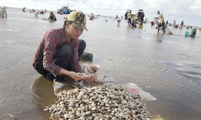 Vietnam exporta otros tres productos acuáticos al mercado chino