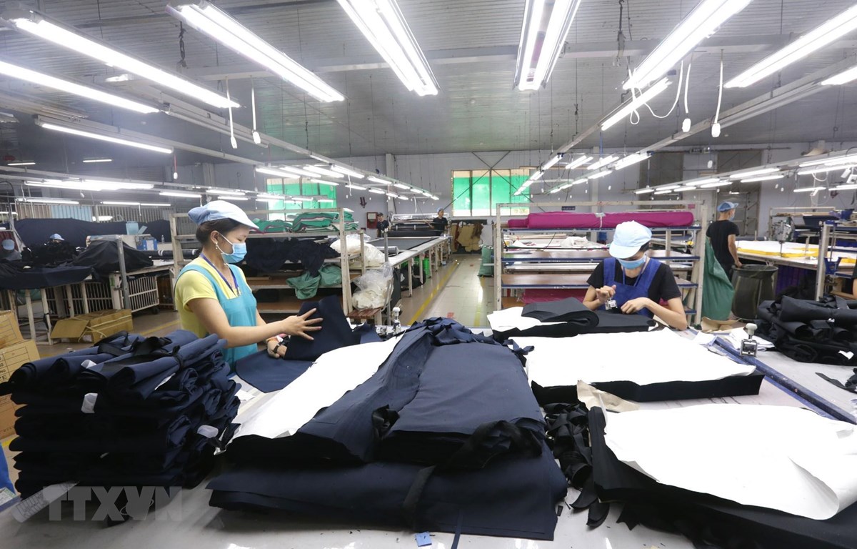 Vietnam lidera el Sudeste Asiático en actividad económica