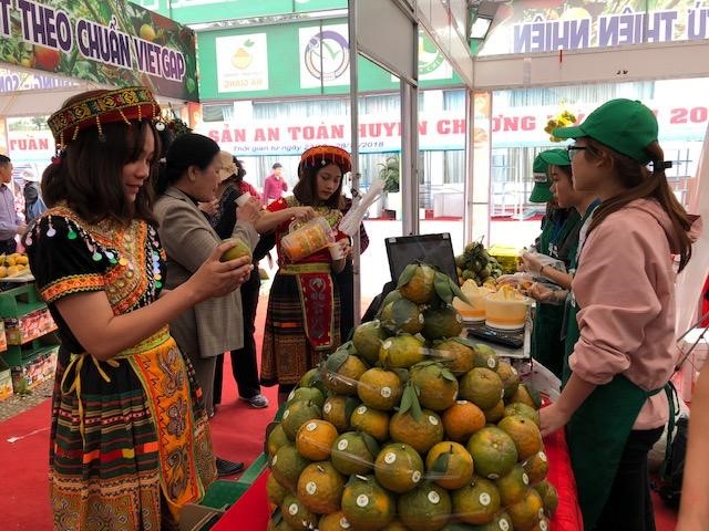 Presentarán en Hanói especialidades de Ha Giang