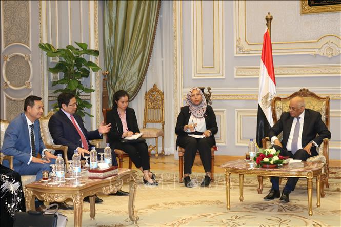 Dirigente partidista de Vietnam concluye visita de trabajo en Egipto