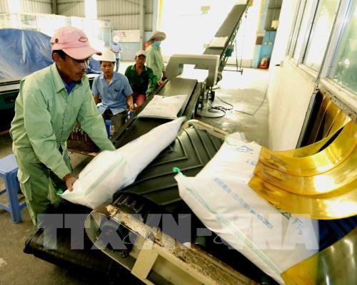 Vietnam por promover la construcción de la marca de arroz