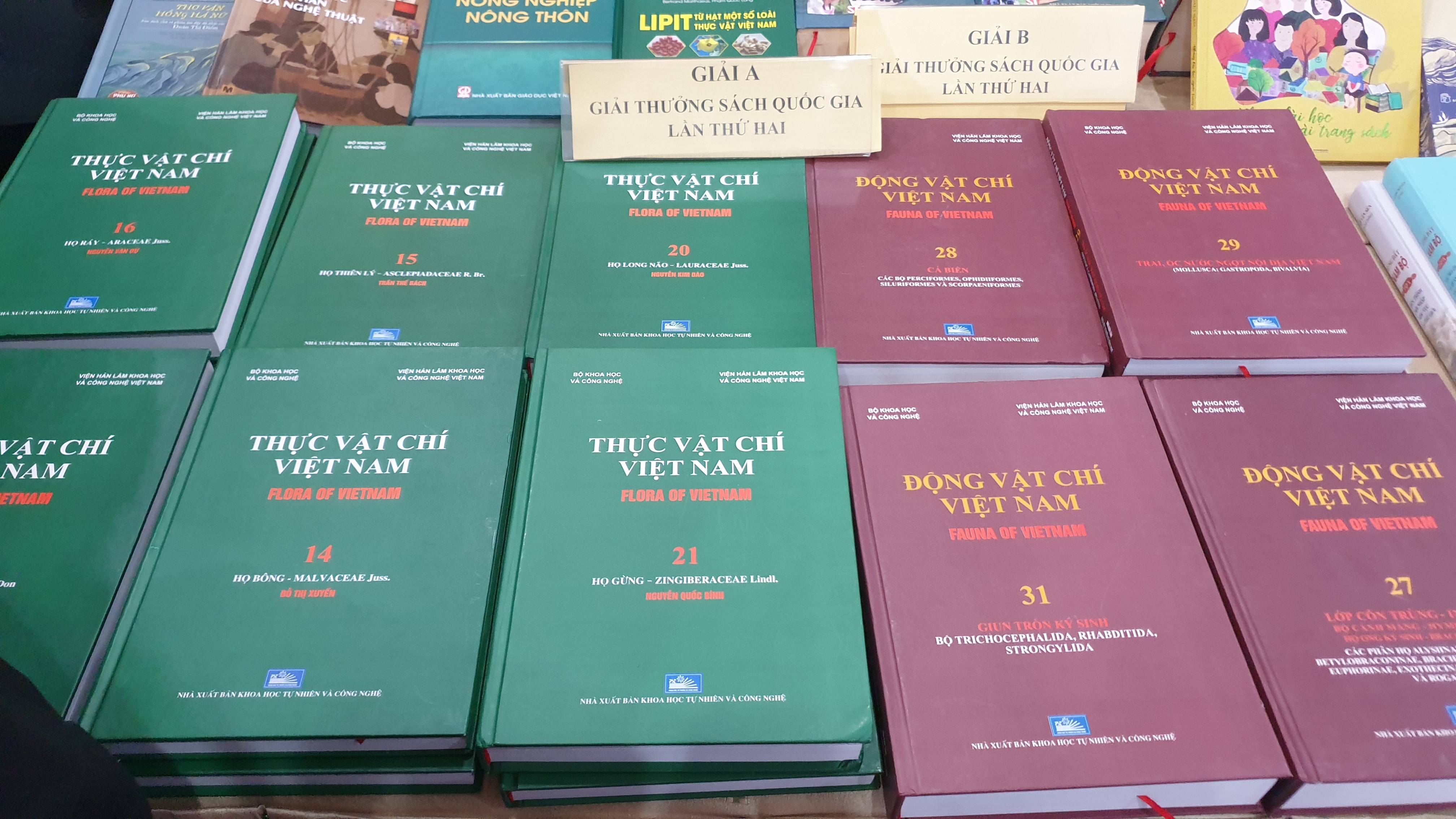 Segundo Premio Nacional del Libro difunde el buen valor de la lectura