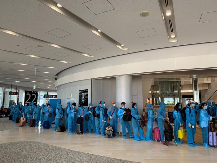 Vietnamitas varados por covid-19 en Singapur, Japón y Canadá regresan al país