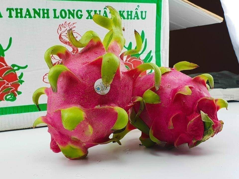 Registran señales positivas en la exportación de frutas y hortalizas de Vietnam