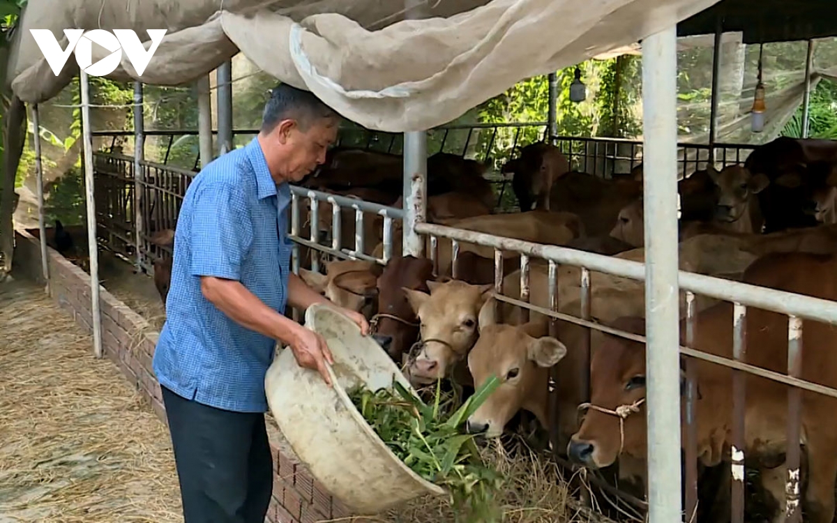 Duong Van Tao, destacado y compasivo agricultor