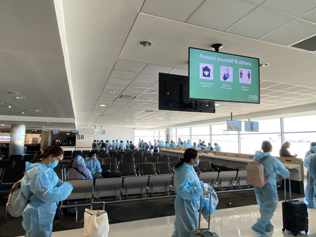 Proponen paquetes de vuelos para repatriar a compatriotas