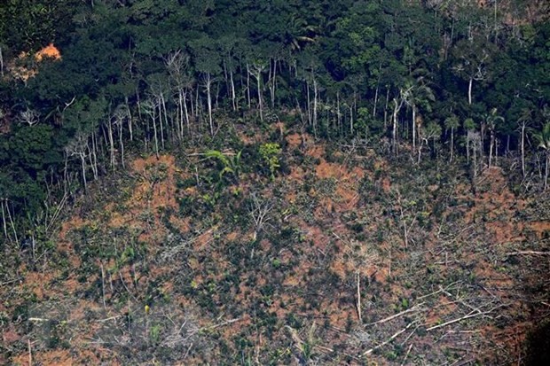 Brasil pide más inversión internacional para prevenir la deforestación del Amazonas