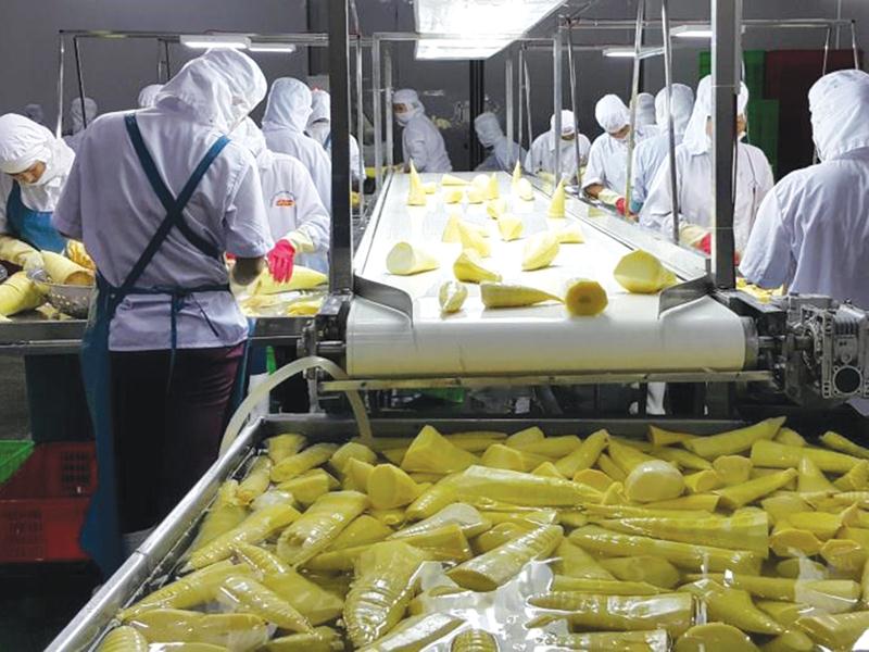 Vietnam es una gran fuente de productos agrícolas y alimentos procesados en el mundo
