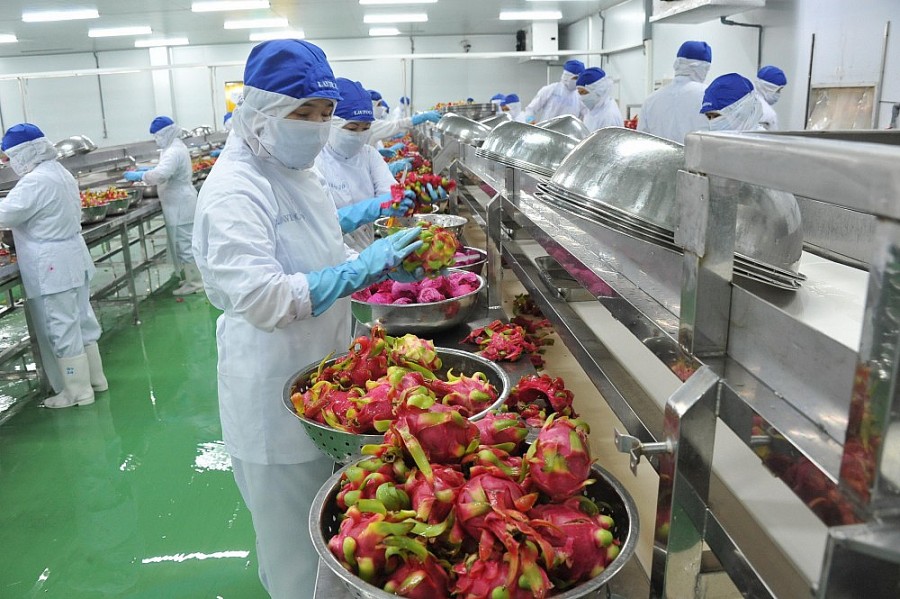 Aumentan exportaciones de frutas y verduras de Vietnam