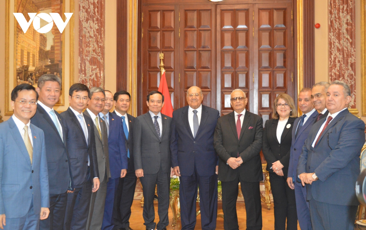 Vietnam aspira a fortalecer la cooperación multifacética con Egipto