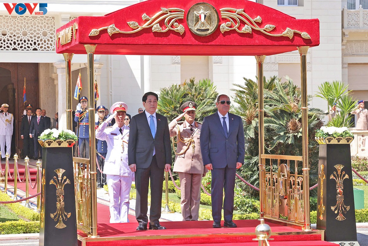 Vietnam y Egipto profundizan la confianza política y amplían la cooperación en comercio e inversión