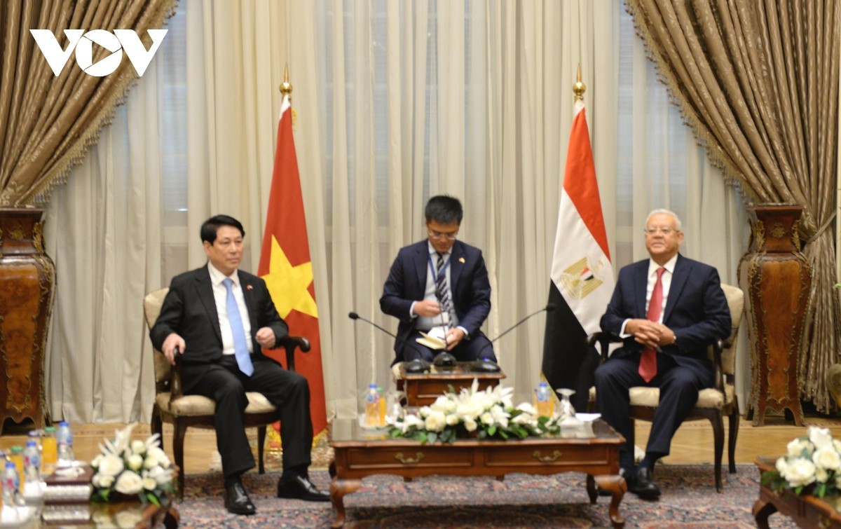 Presidente de Vietnam dialoga con el titular de la Cámara de Representantes de Egipto
