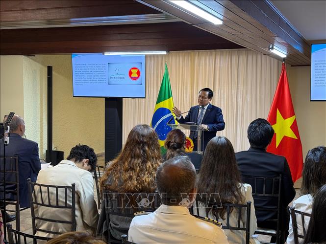 Vietnam y Mercosur impulsan el potencial de cooperación