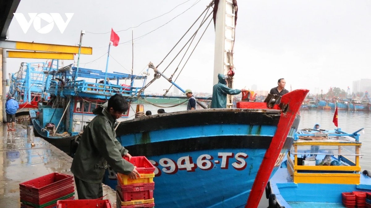 Vietnam avanza hacia una pesca sostenible
