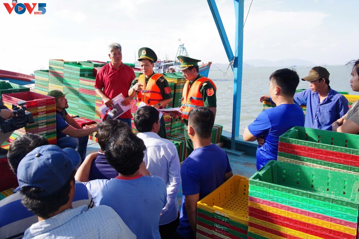 Ciudad Ho Chi Minh intensifica acciones contra la pesca INDNR