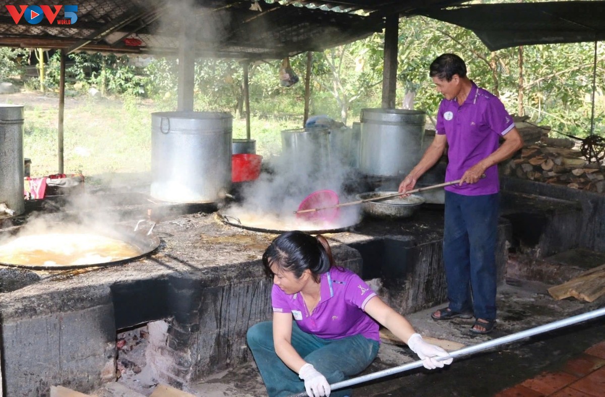Oficio tradicional de melaza con más de medio siglo en Ha Tinh