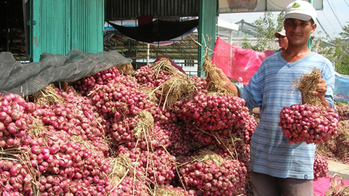 Konferenz der zivilisierten Organisationen in Asien-Pazifik