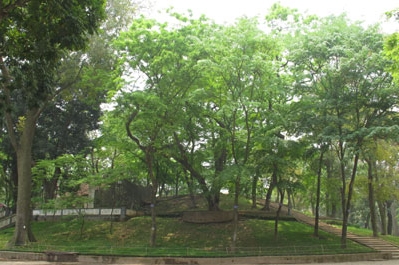 Briefkastensendung vom 16.05.2012