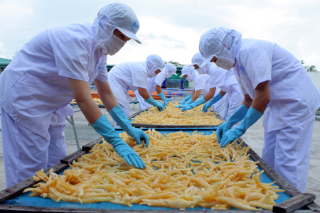 Australische Unternehmen schätzen die Qualität der Meeresprodukte Vietnams