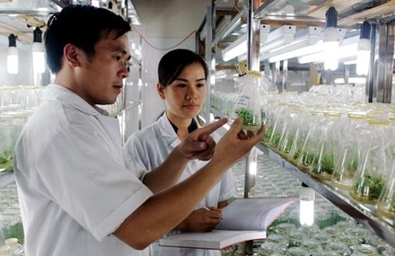 Abgeordnete diskutieren Gesetzesentwurf über Wissenschaft und Technologie