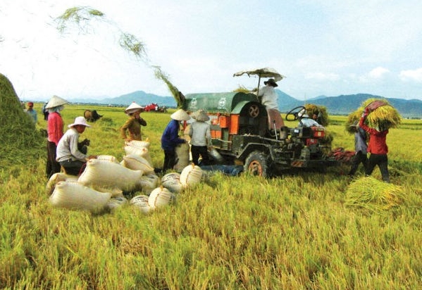 Umstrukturierung der Landwirtschaft im Jahr 2013