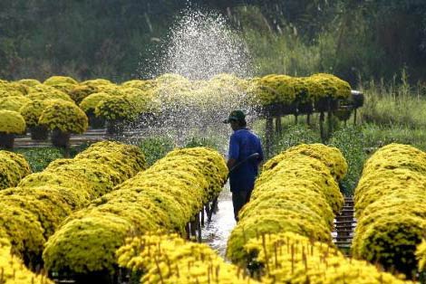 Blumendorf Sa Dec in Südvietnam