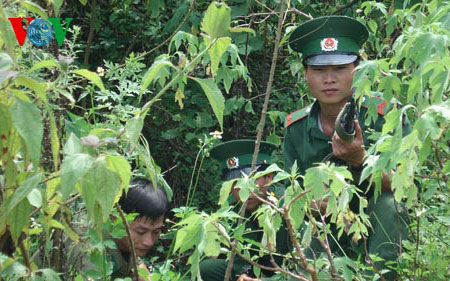 Verbrechen im Grenzgebiet stärker bekämpfen